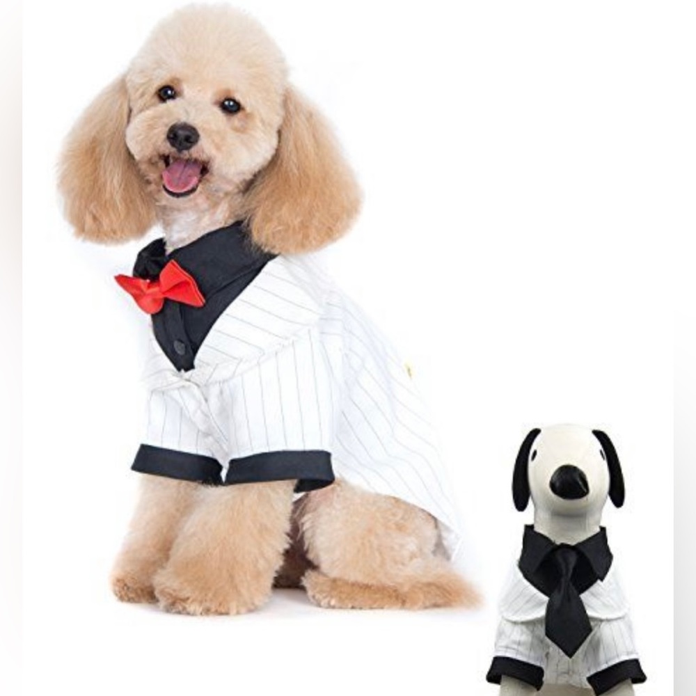 New Dog Formal White Stripe Tuxedo w/Red Bow Tie & Black Tie Costume Size XXL